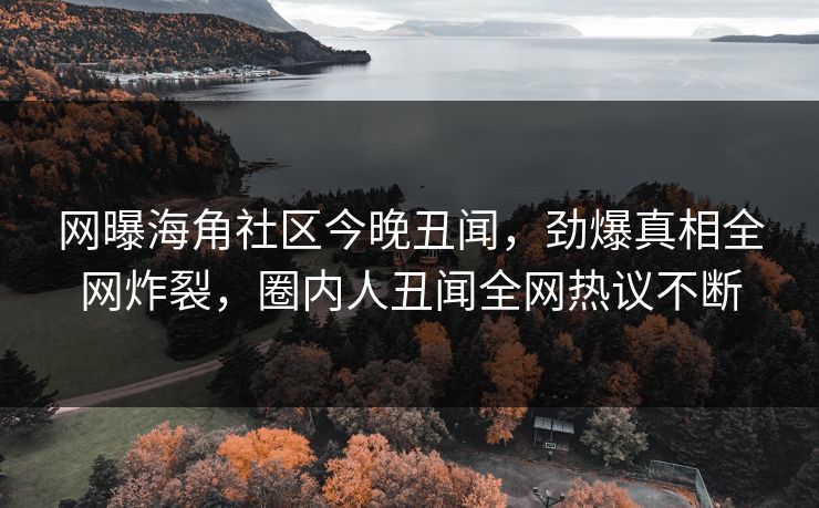 网曝海角社区今晚丑闻，劲爆真相全网炸裂，圈内人丑闻全网热议不断