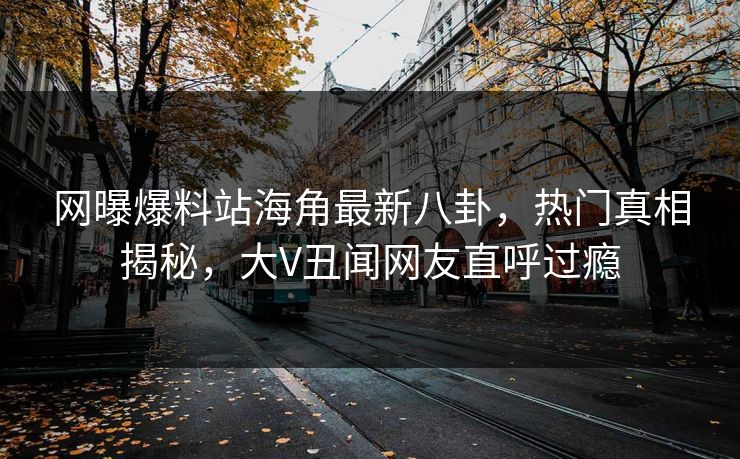 网曝爆料站海角最新八卦，热门真相揭秘，大V丑闻网友直呼过瘾